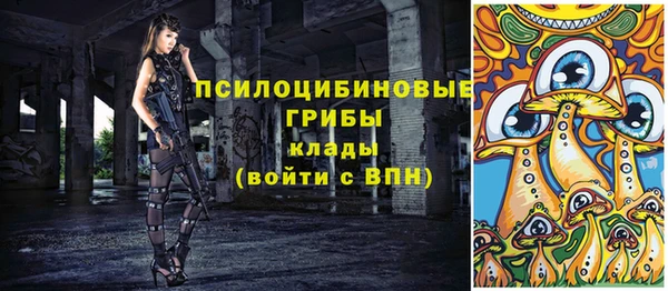 прущий лед Богородск
