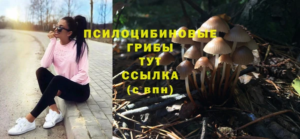 бутират Богданович