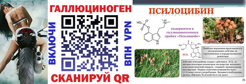 где купить наркоту  Могоча  Псилоцибиновые грибы прущие грибы 