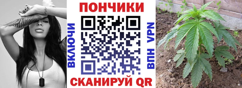 Конопля тримм  купить наркотик  Могоча 